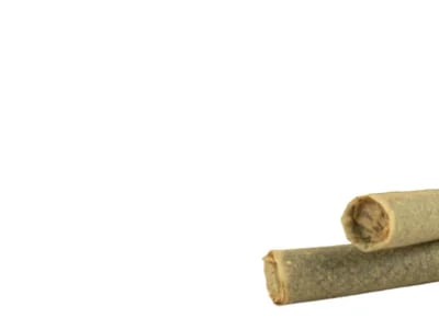 Premium Pre-Rolls Available – THC Infused Cannabis Pre-Rolls Europe