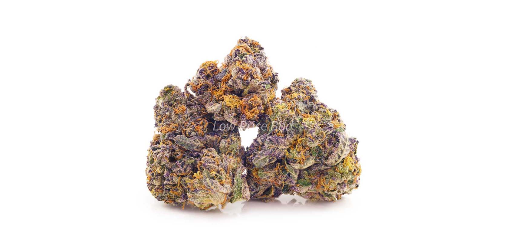 Buy Marijuana Online Europe – High-THC Flower & Concentrates