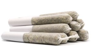 170822_Bayflower_ChemDog_91-_Sativa_Joints-3